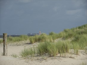 Sand dunes with grass and scattered posts, dark clouds gathering, lonely beach with dune grass in