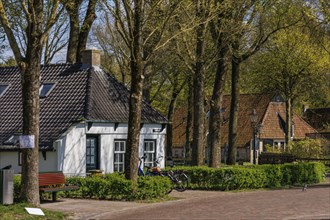 Houses along a tree-lined street with bicycles and benches in a quiet, green neighbourhood,