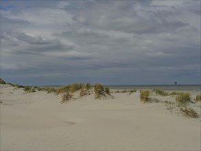 Coastal landscape with sand dunes and reeds against a cloudy sky, dunes by the sea with clouds in