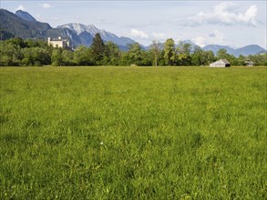 Evening light, meadow with hay barn, Trautenfels Castle, near Irdning, Enns Valley, Styria