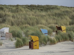 Beach chairs along the dunes, surrounded by tall grasses leading to a path, colourful beach chairs