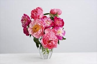 Bouquet of bright pink peonies on white background