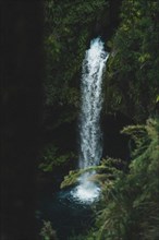 Omanawa Falls waterfall near Tauranga, New Zealand. Tropical nature surrounds the waterfall