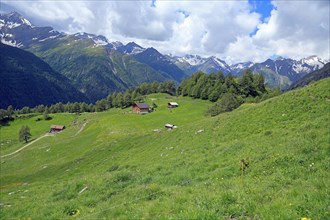 Bodenalm, Seefeld, East Tyrol, Austria, Europe