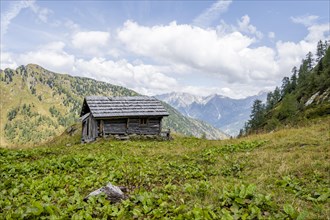 Hut, barn between green mountain meadows, Carnic Main Ridge, Carnic High Trail, Carnic Alps,