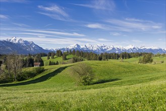 Mountain landscape, spring meadow near Fuessen, Allgaeu Alps, snow, forest, East Allgaeu, Allgaeu,