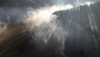 Aerial view, dramatic mood, sun shining through forest and fog, Ammergau, Upper Bavaria, Bavaria,