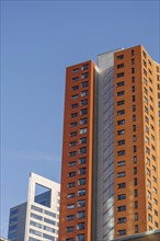 Orange-coloured skyscraper in the city in sunshine and clear sky, skyline of a modern city on the