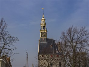 Historic clock tower with trees and blue sky in the background, tower with a golden spire and a
