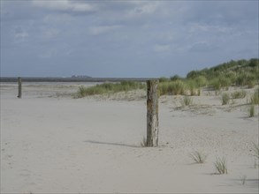 Beach with grassy dunes and old wooden posts under a cloudy sky, lonely beach with dune grass in
