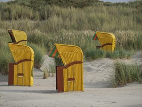 Four yellow beach chairs standing close together in the dunes, surrounded by tall grasses,