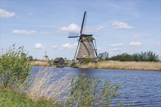 Windmills next to a wide watercourse, surrounded by green reeds and a clear sky, many historic