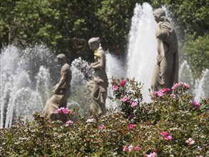 Statues in a fountain in the foreground of blooming flowers and gushing water fountains, fountain