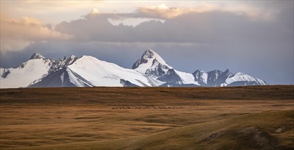 Glaciated and snow-capped mountains, dramatic landscape at sunset, high plateau, autumnal mountain