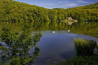 Seeschloesschen, also known as Funkenburg or Villa Niedernhofen, north shore, Hengsteysee,