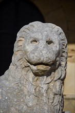 Portrait of a stone lion statue with sculptural details, outdoor area, Archaeological Museum, Old