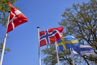Scandinavian flags of Denmark, Norway, Sweden and Finland in Niebuell, district of Nordfriesland,