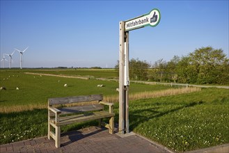 Carpooling bench in the marsh landscape with sheep and wind turbines near Simonsberg, Nordfriesland