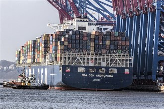A container ship of the CMA CGM shipping company is brought to Burchardkai in the Port of Hamburg