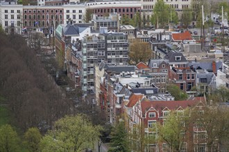 Bird's eye view of a street with various buildings and trees in an urban environment, view from