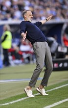 Coach Pellegrino Matarazzo TSG 1899 Hoffenheim engaged on the sidelines, gestures, gesture, PreZero