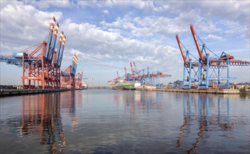 Container ship being unloaded at Burchardkai, Hamburg, 01.11.2014., Hamburg, Germany, Europe