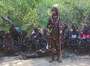 South Ethiopia, Omo region, among the Hamar tribe, Hamer, Hamma, Hammer, Amar or Amer, woman in the