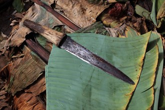 South Ethiopia, among the Dorze people, knife, machete lying on a banana leaf, Ethiopia, Africa