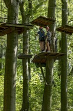 Group of young woman, girls climbing in the climbing forest, platforms, ropes, rope ladders, beech