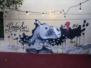 Donkey head, graffiti, Olbia, Sardinia, Italy, Europe