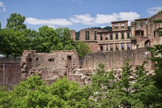 Heidelberg Castle Ruins, Heidelberg, Baden-Wuerttemberg, Germany, Europe