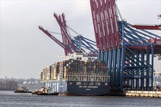A container ship of the CMA CGM shipping company is brought to Burchardkai in the Port of Hamburg