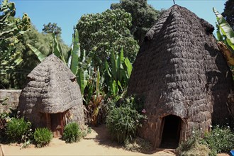 South Ethiopia, among the Dorze people, typical hut, house, Ethiopia, Africa