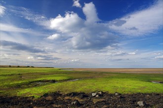 Wide tidal landscapes at low tide, Lindisfarne, Northumberlands, England, Great Britain