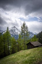 Stadel Almwiese Stubaital, Austria, Europe