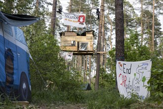 Two people swinging over a tree house in the occupied forest section Tesla Stop . In the foreground