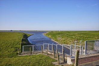 Siel at the Tetenbueller Sielzug and the reservoir in Tetenbuell, district of Nordfriesland,