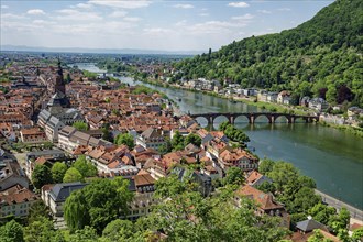 View from the Scheffel Terrace of Heidelberg Castle of Heidelberg with the Heiliggeistkirche and