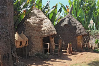 South Ethiopia, among the Dorze people, typical huts and houses, Ethiopia, Africa