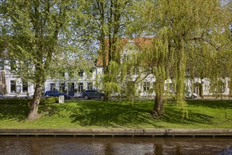 Trees at the Mittelburggraben in Friedrichstadt, district of Nordfriesland, Schleswig-Holstein,