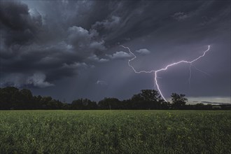 Lightning flashes in the sky during a thunderstorm in Waldhufen, 19/05/2024