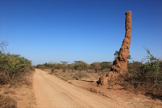 South Ethiopia, Omo Region, termite mound, termite burrow on a dusty country road, Ethiopia, Africa