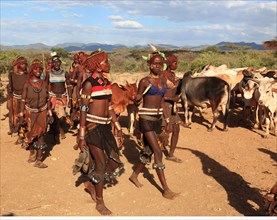 South Ethiopia, Omo region, among the tribe of the Hamar, Hamer, Hamma, Hammer, Amar or Amer, bulls