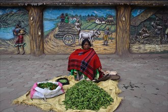 Vegetable seller, mural decoration in the street, Hazaribagh, Jharkhand, India, Asia