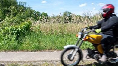 Motorbike passes a field at speed, flowering strip, Droemling Biosphere Reserve, Mannhausen,