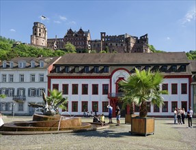 Sebastian Muenster Fountain, Heidelberg Academy of Sciences on Karlsplatz and Heidelberg Castle,