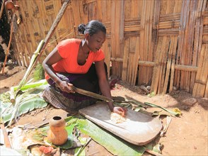 South Ethiopia, among the Dorze people, woman processes the mass of the ground false banana, which