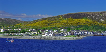 Harbour and a fishing boat, gorse-covered mountains, Ullapool, Scotland Great Britain