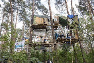 Tree houses in the occupied section of forest Tesla Stop . The occupation of the forest is intended