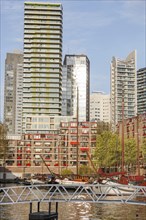Boats in the harbour against a backdrop of modern skyscrapers in sunny weather, small harbour in a
